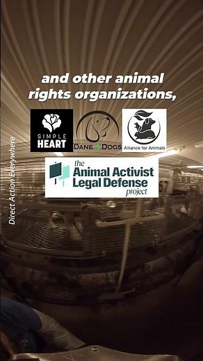 Under pressure from advocates and officials, Ridglan Farms will stop breeding dogs for labs 👏