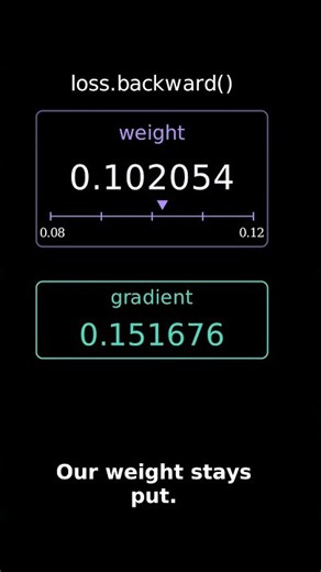 Backward Does NOT Update Your Weights