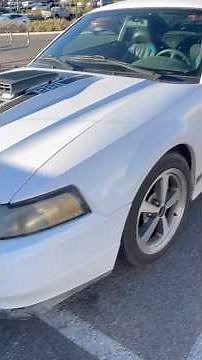 2004 mustang Mach 1 that I’ve seen in town for 18 years