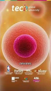 Tissue Engineering and Cell Regeneration: Fundamentals of Applied Histology