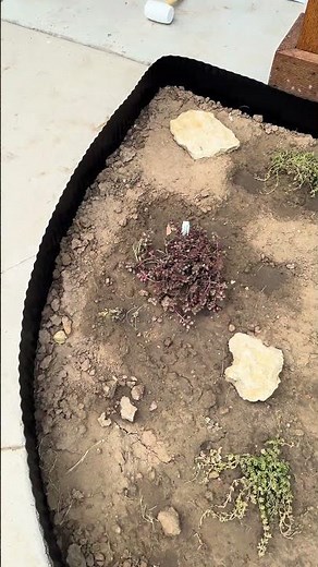 Transform Your Garden with Corrugated Metal Edging | DIY Flower Bed & Pathway Design Tips!