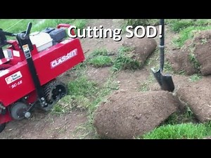 Don't Know What I'm Doing - Sod Cutter