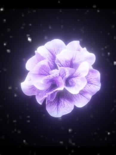 Lay Me Down: Sam Smith Lyrics and Translation