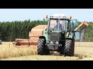 Fendt Farmer 310 LSA Turbomatik in the field harvesting w/ Dronningborg D750 Combine | Harvest 2021