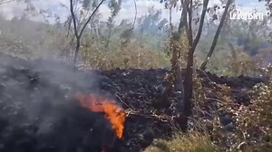 Une première depuis 2007 : la lave du piton de la Fournaise coupe une importante route nationale de La Réunion