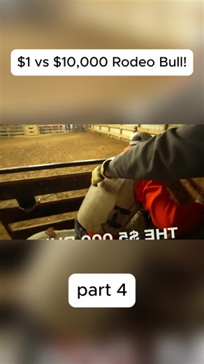 $1 vs $10,000 Rodeo Bull! 6 #cow #bulls #ranch #rodeo