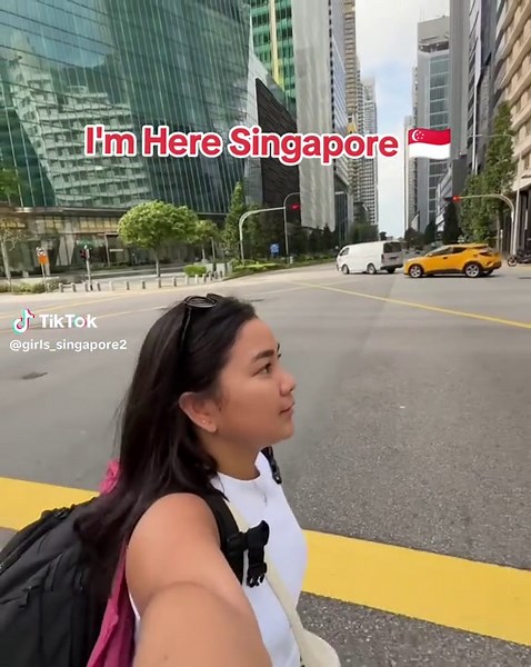Discover Life in Singapore: A Morning Overview
