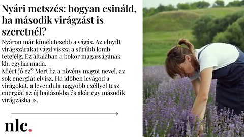 Először mutatta meg a vőlegényét Király Linda