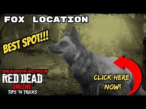Fox Location (Best Spot!!!) | deadPik4chU's Red Dead Online Tips and Tricks!