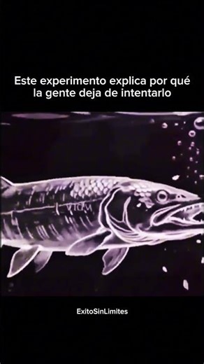 The INVISIBLE WALL that PREVENTS us from MOVING FORWARD