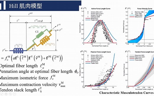 OpenSim基础教程05