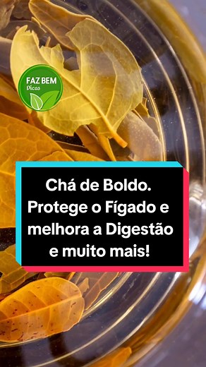 Benefícios do Chá de Boldo para a Saúde