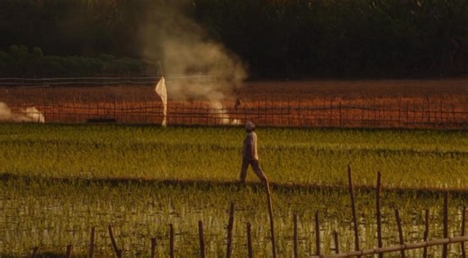 🌾 Farmer’s Day 2025 🌾 Good day everyone! October 12, a special day to celebrate and honor our hardworking farmers, the true heroes who work under the sun and rain to make sure we have food on our tables every single day. 🌞🌧️ From the mountains to the fields, they plant, water, and harvest with dedication and love for the land. Their efforts remind us that every grain of rice and every fruit we eat comes from their patience, strength, and sacrifice. 🍚🍃 Let’s take this day to show our gratit