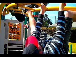 CHICKEN FIGHT CHAMPION