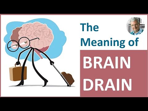 The Definition and Meaning of BRAIN DRAIN? (3 Examples)