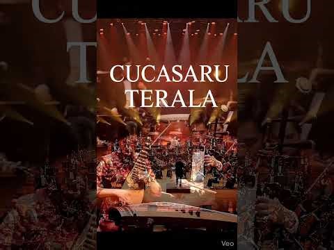 CUCASARU TERALA Sinfónica China 🇨🇳