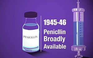 「青霉素的发现到抗药性的发生」Penicillin and Antibiotic Resistance