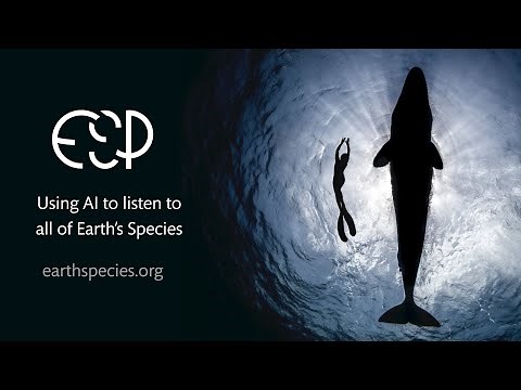 Using AI to listen to all of Earth's Species