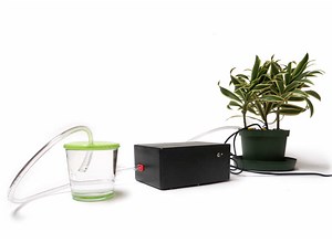 Self-Watering Plant with Arduino