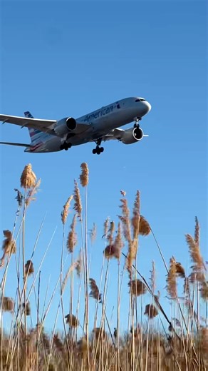 SUPER CLOSE!! A compilation of five landings into PHL #787 #737 #a320 #a319 #boeing #airbus