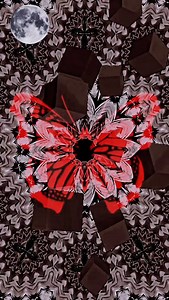 #CCR #graveyardtrain #kaleidoscope #susanamusic | Susana Campos