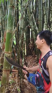 11K reactions · 20 shares | Naranasan niyo na ba ito? #highlightsシ゚ #FBVIDEO #Amazing #popular | John Michael Malalis | Facebook