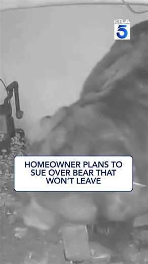 A homeowner says living with a bear under his house has pushed him to his breaking point. In an exclusive interview with KTLA’s Jillian Smukler, he revealed plans to sue the California Department of Fish and Wildlife after being told the state will no longer help. Full report: https://ktla.com/news/local-news/altadena-homeowner-threatens-to-sue-over-bear-that-wont-leave/ | KTLA 5 News