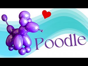 HOW TO MAKE A DOG BALLOON ANIMAL: POODLE Version 2