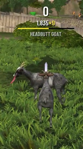 goat with srowd explosive