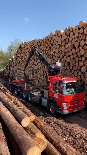 Red Logging Truck Loading Logs with Mechanical Arm