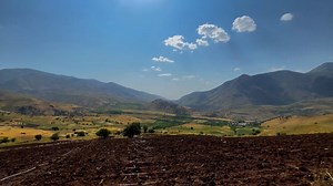 Fields, Crops, Village. Free Stock Video