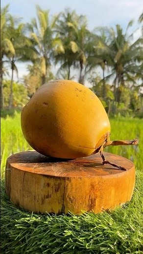 Clean Coconut Cut - So Amazing #coconut