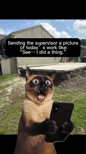 Sending the Supervisor the ‘Work Completed’ Picture #funny #concrete