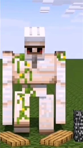 wither skeleton (Hacker)