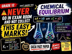 Grade 12 Mastering Equilibrium: Calculating Kc & Catalyst Effects SACAI past paper