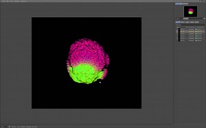Organic Proximal Shader Tutorial Part 2 : The Shader