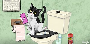 I’ve always wondered: can I flush cat poo down the toilet?