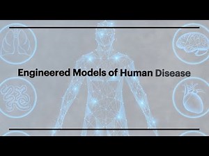 Nature Conference: Engineered Models of Human Disease