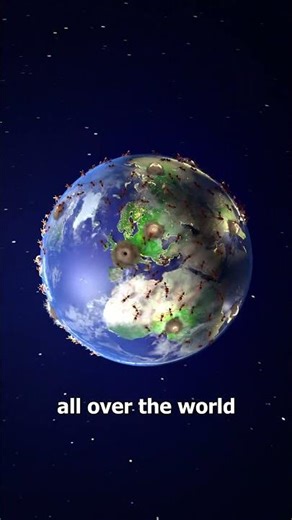 How Are Ants On Different Continents Still Connected 😮