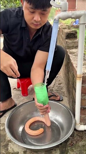 This show a fast way to wash beef intestines so they are clean and ready to be cooked safely at home