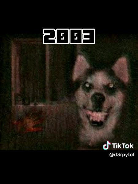 Smile Dog Creepypasta: Unleashing Terrifying Husky Smiles 💀