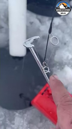 How to set the snapper automatic hook setter! #howtosetthesnapperautomatichooksetter #shorts