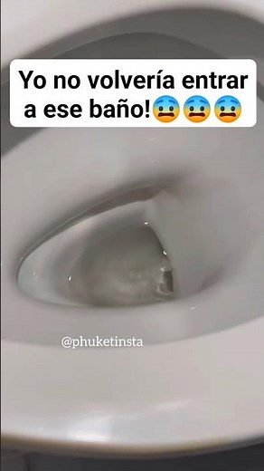 ☠️ Corre SOLDADO ☠️ #animals #miedo