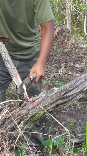 #survival #diy #easydiy #bushcraft #creative #easy #camp