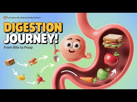 Amazing Digestion Journey – From Bite to Poop! | Human Body Animation for Kids