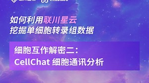 细胞互作解密二：CellChat 细胞通讯分析
