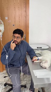 📍Cabine vétérinaire Sidi Maarouf. #casablanca #cats #catlover | Dailyvet.22