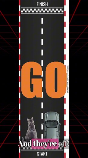 Cat vs Car? #memes #animation #roblox #growagarden #cat #car #undertale