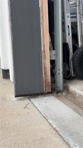 Effective Rodent Prevention Strategies for Your Garage