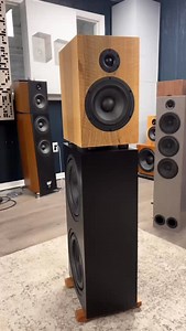 3-Way Bass Module. The “bass module” is an add on for the 1TD/1TD-X or Torii bookshelf to convert your existing speaker into a floor standing 3-way speaker.True 3-way system with a crossover point around 220 Hz - not a sat/sub system Extended bass response (20 Hz) with greater clarity and punch, better midrange clarity due to reduced excursion on the woofer in the existing bookshelf, and Higher output levels. 22 mm of verified Klippel xmax with our matching APR10 passive radiator to extend the b